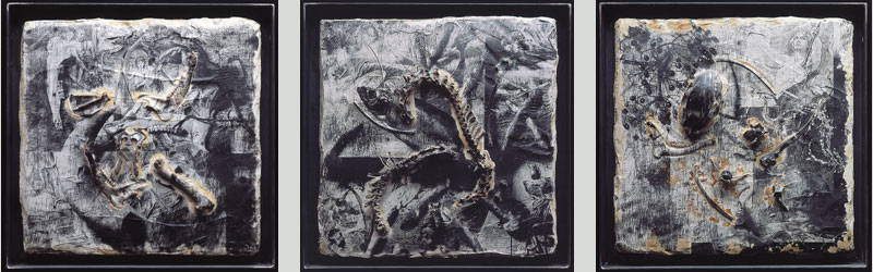 Vanitas